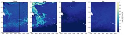 Assessing the Skill of a High-Resolution Marine Biophysical Model Using Geostatistical Analysis of Mesoscale Ocean Chlorophyll Variability From Field Observations and Remote Sensing